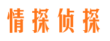 寿县市调查公司